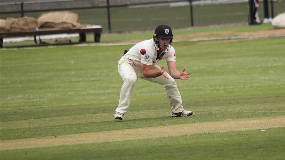 Tim Reynolds fielding at short leg