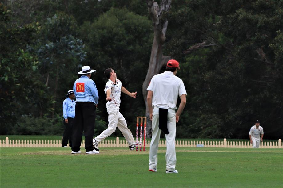IMG_8006 Savage wicket ball