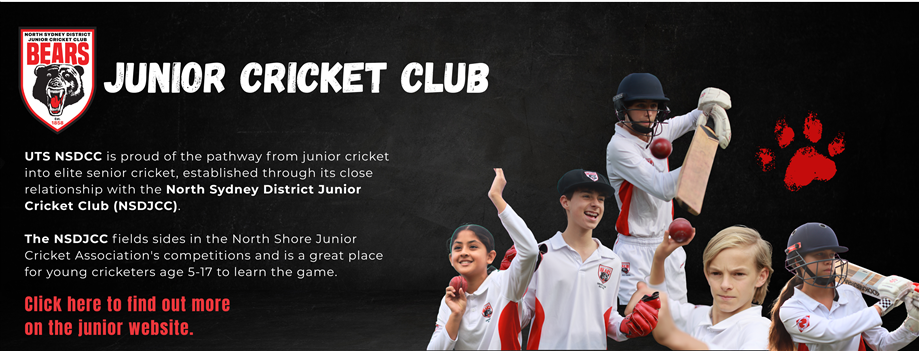 NSDJCCJuniorsBanner