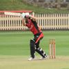 Major Milestones for Avendano and Jenkins