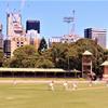 1st Grade - Round 15 vs UNSW