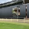 New NSO Sightscreens 
